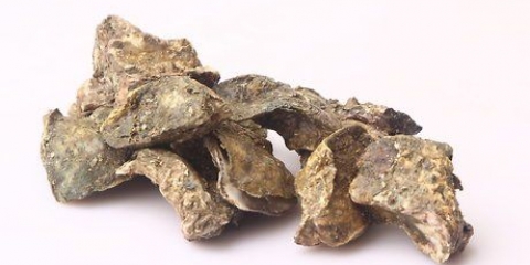 Armazenar ostras frescas