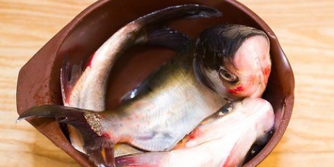 Preparar peixe