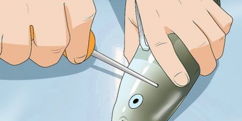 Limpeza de peixe