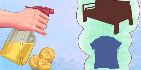 Prevenção de picadas de pulgas