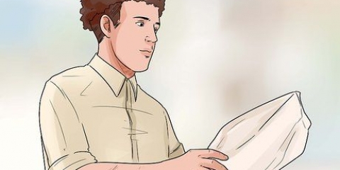 Cuidando do seu chihuahua