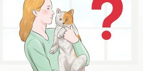 Cuidando do seu animal de estimação