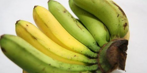 Evitando que as bananas amadureçam muito rapidamente