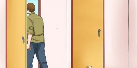 Impedindo que um gato saia correndo pela porta