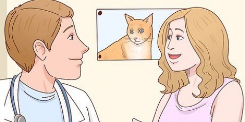 Evite que seu gato faça xixi na sua cama