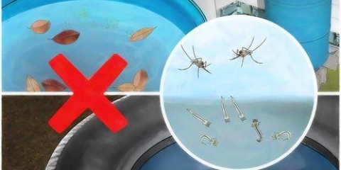 Impedindo que os mosquitos se reproduzam
