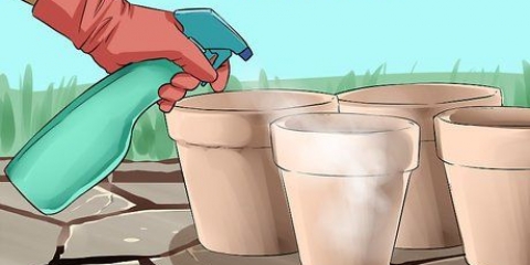 Usando peróxido de hidrogênio no jardim