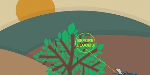 Poda de flor alternada
