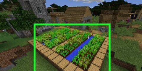 Coletando cenouras no minecraft