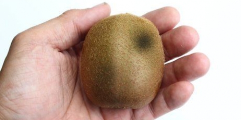 Veja se um kiwi não é mais bom