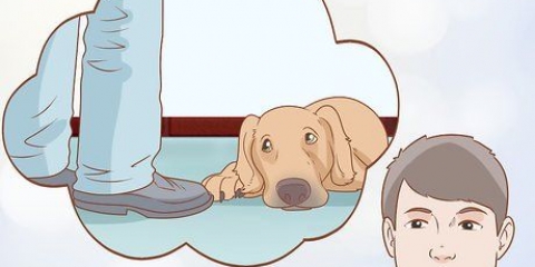 Veja se o seu cão está deprimido