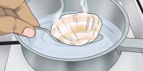 Perfurando um buraco em uma concha sem uma broca