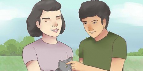 Certificando-se de que seu gato te conhece e te ama