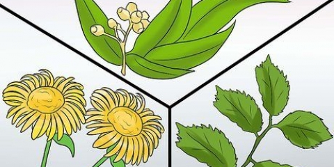 Prevenção de menstruações intensas: pode ser feito naturalmente?