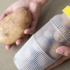 Pernas de batata