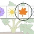 Cultivo de batatas