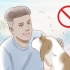 Reduzindo a ansiedade em cães