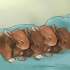 Alimentando coelhinhos