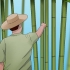 Cura de bambu