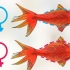 Determinando se um peixinho dourado está grávida