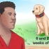 Determinando se seu cão tem parvo