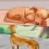 Determinando se deve colocar seu cão para dormir