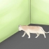 Determinando se o seu gato é cego
