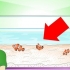 Determinando se seu peixe está doente