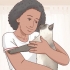 Decidindo se um gato siamês é ideal para você