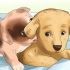 Como desaprender a morder em um cachorro