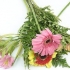 Arranjo de flores