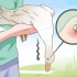 Tratando o botulismo em um pato
