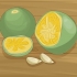 Plantas de calamondina