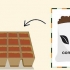 Cultivando pimentas dentro de casa