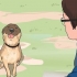 Comunique-se com seus animais de estimação