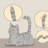 Comunicando-se com seu gato