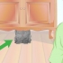 Verificando se um gato está com febre