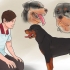 Verificando se seu cão está saudável e feliz
