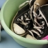 Limpeza converse all stars