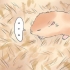 Tratando a perna quebrada do seu hamster
