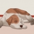 Cortar as unhas de um cachorro