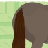 Trançando o rabo de um cavalo