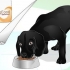 Brilhar o casaco de um cão