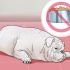 Tratando a diarreia em um cão