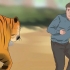 Sobrevivendo a um ataque de tigre