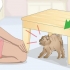 Criando laços com um gato bravo ou assustado