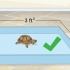 Criando um habitat interno para um terrapene