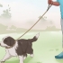 Treinando um filhote de border collie