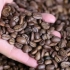 Usando uma cafeteira