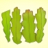 Cultivando um epiphyllum cactus